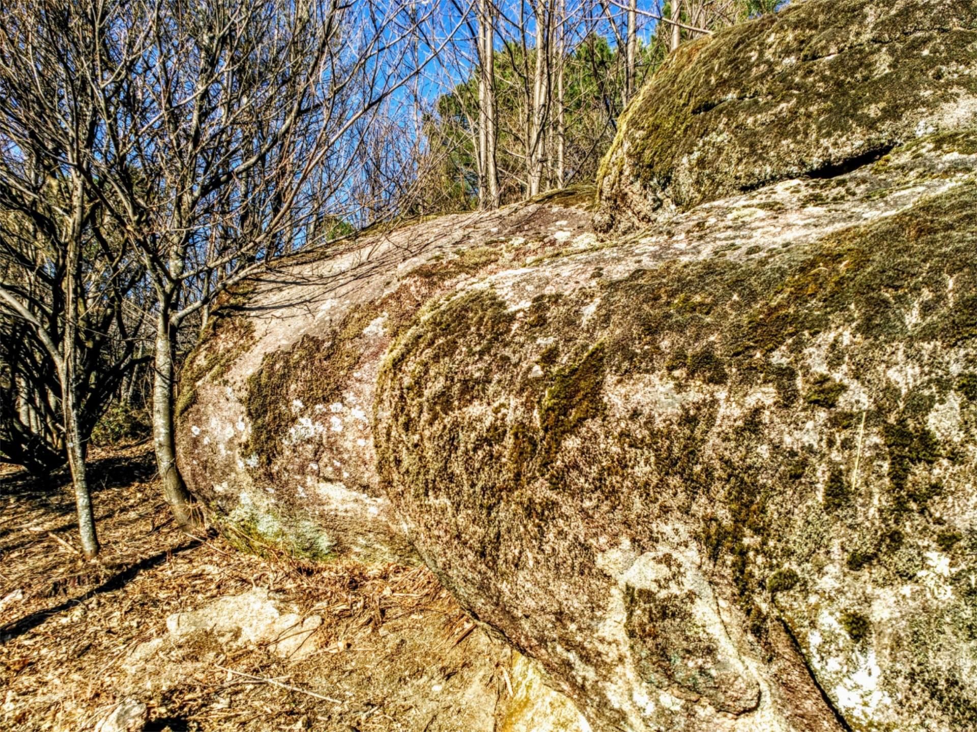 Finca rústica en venta en Carretera Hornillo, 7, Arenas de San Pedro Vista exterior de Finca rústica en venta en Arenas de San Pedro