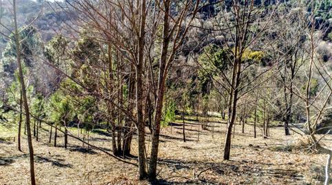 Foto 2 de Finca rústica en venda a Carretera Hornillo, 7, Arenas de San Pedro, Ávila