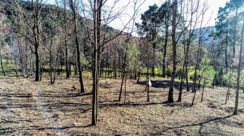 Foto 5 de Finca rústica en venda a Carretera Hornillo, 7, Arenas de San Pedro, Ávila