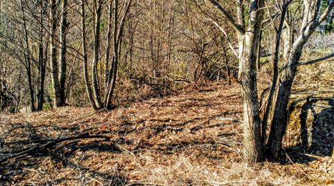 Foto 3 de Finca rústica en venda a Carretera Hornillo, 7, Arenas de San Pedro, Ávila