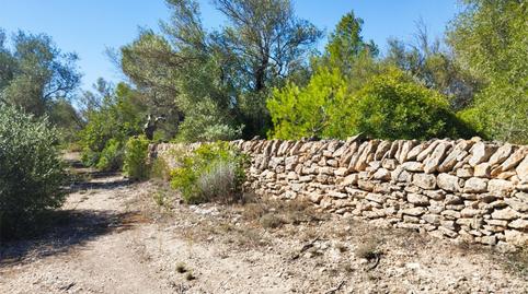 Finca rústica en venda a Tv-3025, 4, L'Ametlla de Mar pueblo, Tarragona - imatge 4 Foto 4 de Finca rústica en venda a Tv-3025, 4, L'Ametlla de Mar pueblo, Tarragona