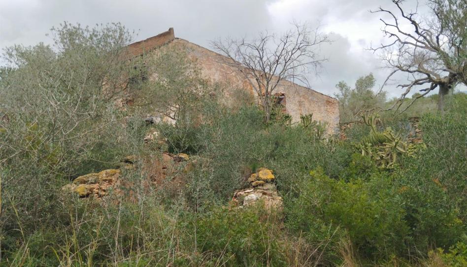 Finca rústica en venda a Tv-3025, 4, L'Ametlla de Mar pueblo, L'Ametlla de Mar - imatge 1 Foto 1 de Finca rústica en venda a Tv-3025, 4, L'Ametlla de Mar pueblo, L'Ametlla de Mar