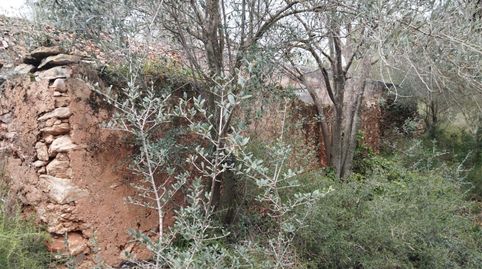 Photo 4 of Country homes for sale in Tv-3025, 4, L'Ametlla de Mar pueblo, L'Ametlla de Mar