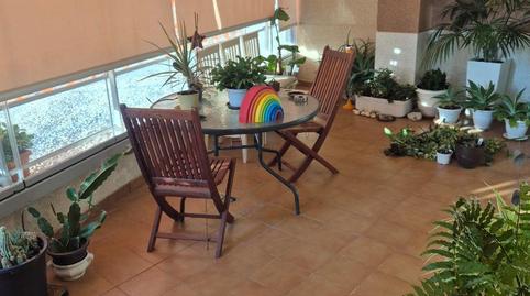 Piso de alquiler en Avinguda Mestral, 3, Las Azaleas - Alkadir, Alicante - imagen 3 Foto 3 de Piso de alquiler en Avinguda Mestral, 3, Las Azaleas - Alkadir, Alicante