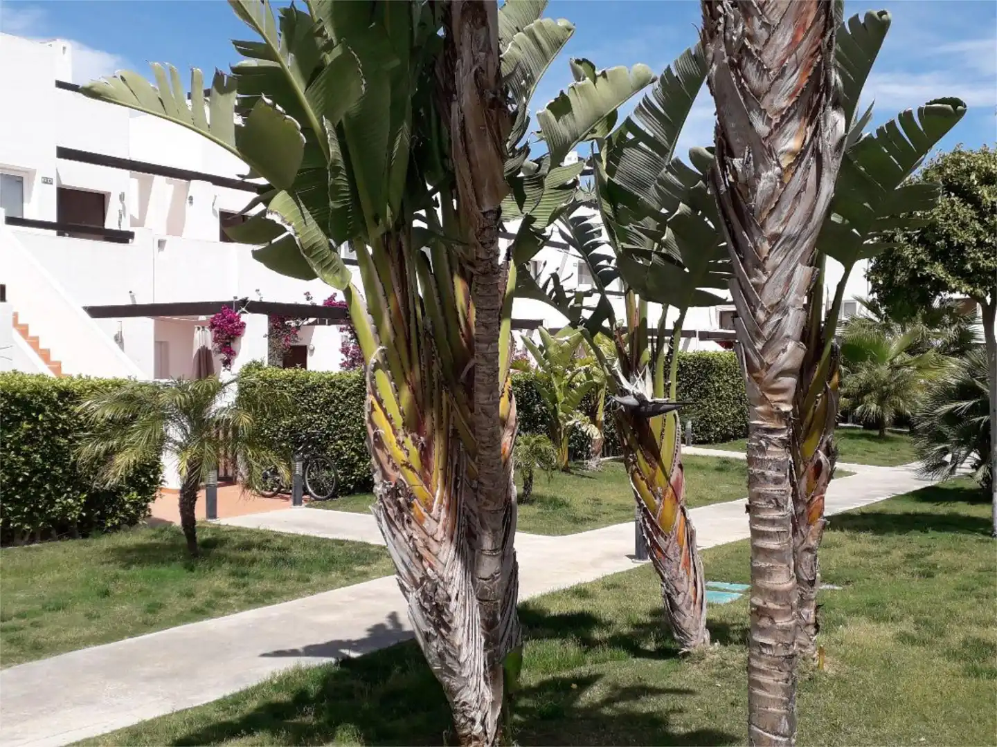Wohnung zum Verkauf in Avenida de la Alcanara, 3, Condado de Alhama Garten von Wohnung zum Verkauf in Alhama de Murcia mit Klimaanlage, Heizung und Privatgarten