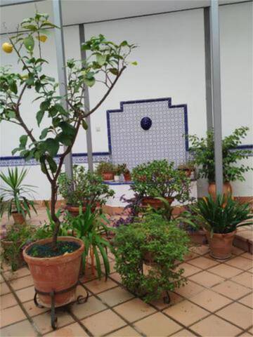 Piso en Alquiler en San Julián