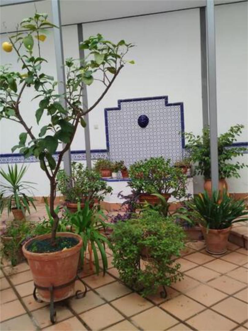 Pis de lloguer a San Julián Pis de lloguer a San Julián