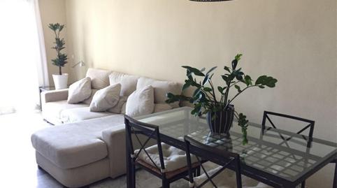 Flat to rent in Avenida de Cuba, 50, Montealto - Monterrey, Málaga - image 5 Photo 5 of Flat to rent in Avenida de Cuba, 50, Montealto - Monterrey, Málaga