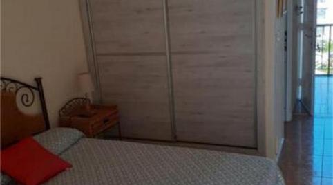 Study to rent in San Felipe - San Marcos - Las Cañas, Santa Cruz de Tenerife - image 3 Photo 3 of Study to rent in San Felipe - San Marcos - Las Cañas, Santa Cruz de Tenerife