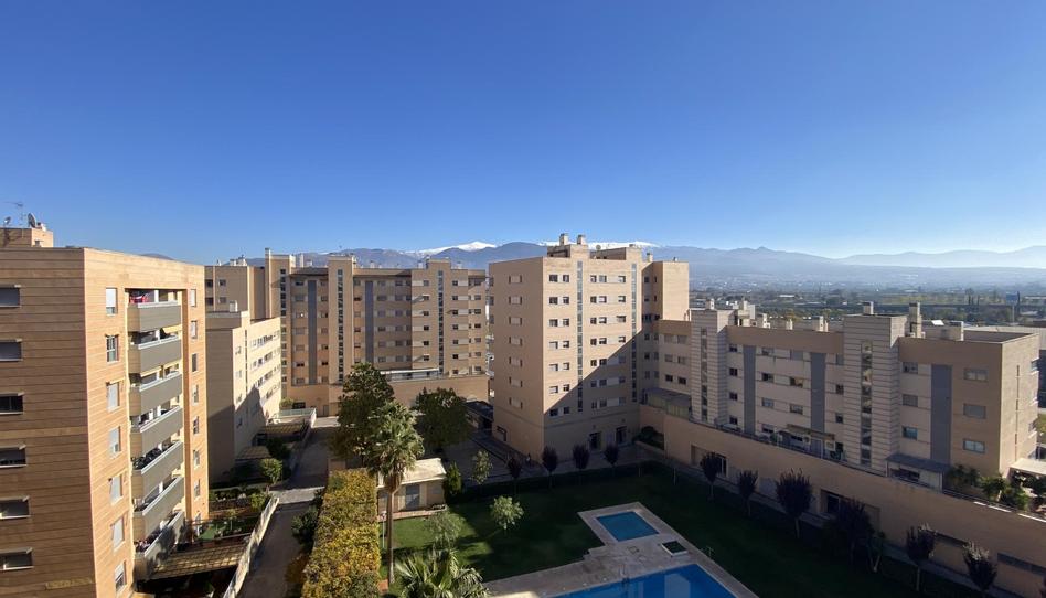 Attic to rent in Avenida de la Ilustración, 81, Campus de la Salud, Granada - image 1 Photo 1 of Attic to rent in Avenida de la Ilustración, 81, Campus de la Salud, Granada