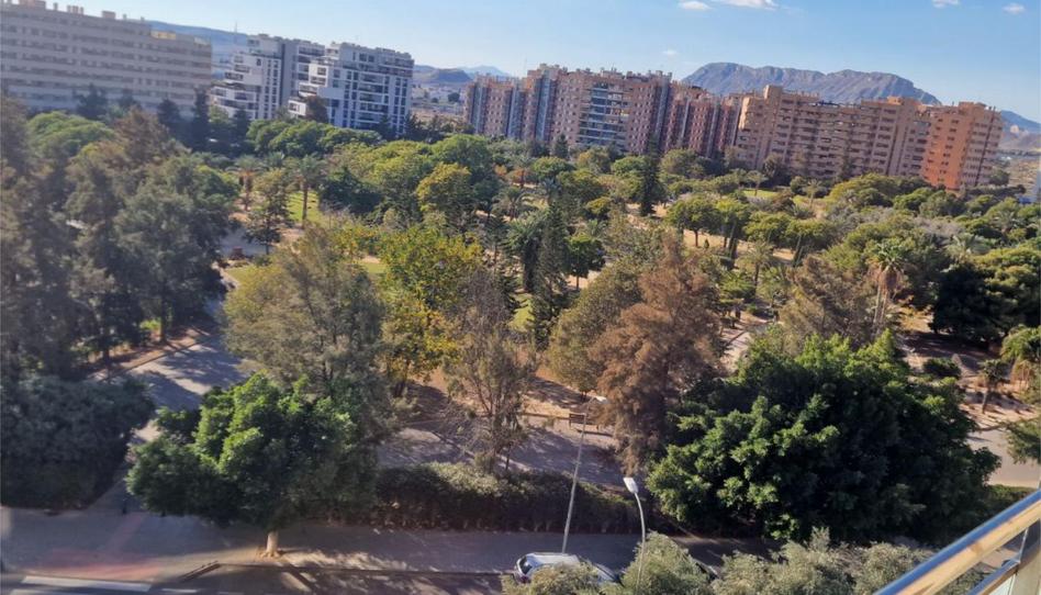 Flat to rent in Calle Médico Andrés Boldó, 2, Paus - Poligono San Blas, Alicante - image 1 Photo 1 of Flat to rent in Calle Médico Andrés Boldó, 2, Paus - Poligono San Blas, Alicante