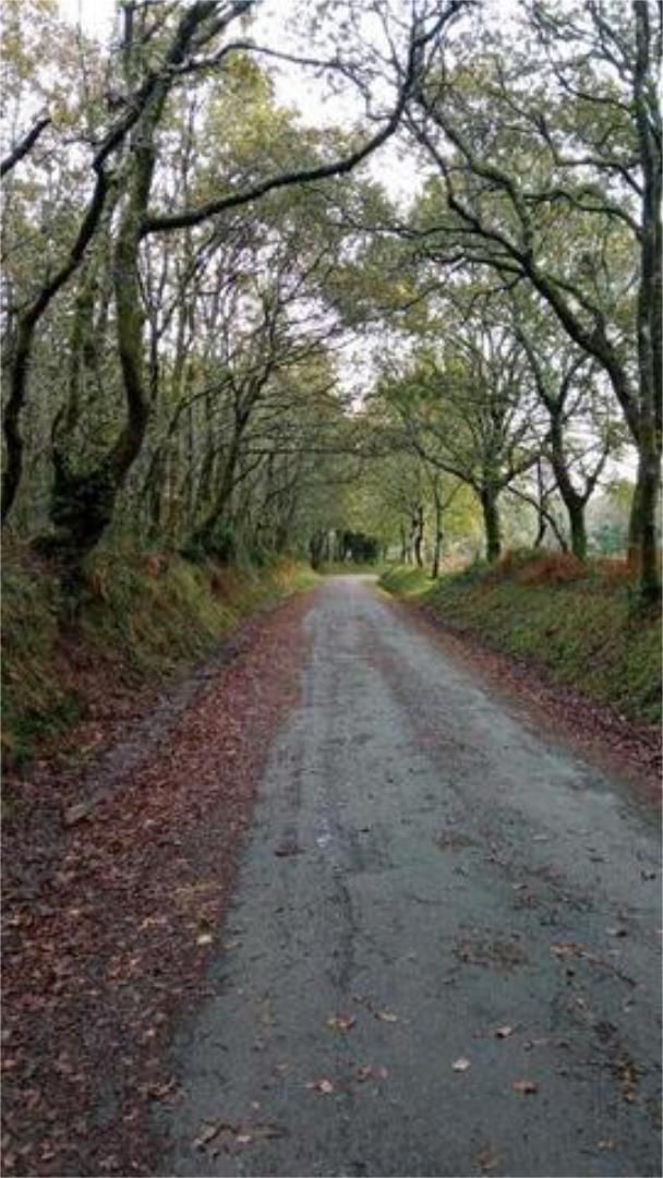 Casa o xalet en venda a San Lázaro - Meixonfrío Vista exterior de Casa o xalet en venda en Santiago de Compostela amb Jardí privat, Terrassa i Traster