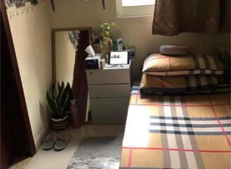 Casa o chalet de alquiler en El Escobonal - Pájara, Santa Cruz de Tenerife - imagen 1 Foto 1 de Casa o chalet de alquiler en El Escobonal - Pájara, Santa Cruz de Tenerife