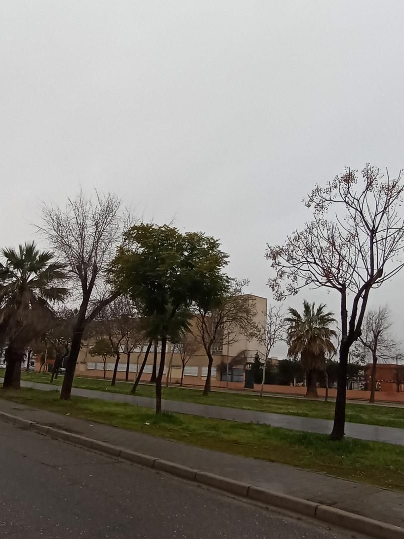 Country house for sale in Calle Álvarez Quintero, 166, Los Palacios y Villafranca Exterior view of Country house for sale in Los Palacios y Villafranca