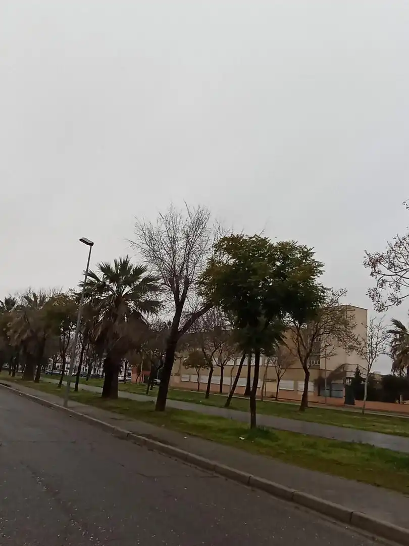 Finca rústica en venta en Calle Álvarez Quintero, 166, Los Palacios y Villafranca Vista exterior de Finca rústica en venta en Los Palacios y Villafranca