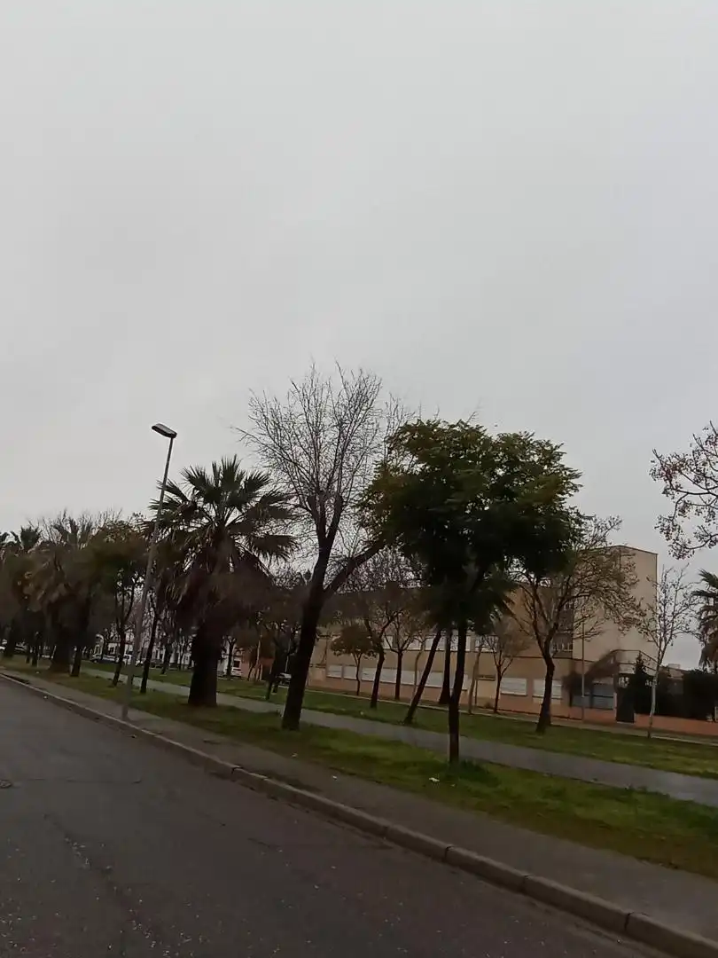 Finca rústica en venta en Calle Álvarez Quintero, 166, Los Palacios y Villafranca Vista exterior de Finca rústica en venta en Los Palacios y Villafranca
