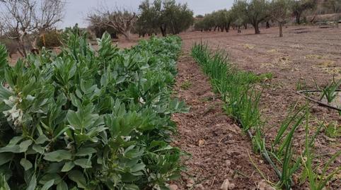 Country house for sale in Calle Calvario, 2, Bullas, Murcia - image 2 Photo 2 of Country house for sale in Calle Calvario, 2, Bullas, Murcia