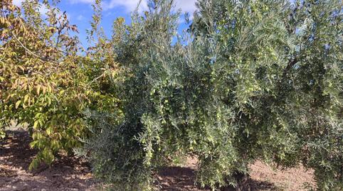 Country house for sale in Calle Calvario, 2, Bullas, Murcia - image 4 Photo 4 of Country house for sale in Calle Calvario, 2, Bullas, Murcia