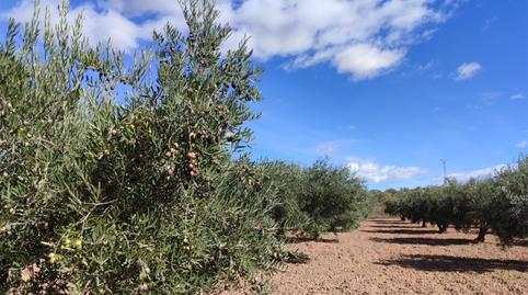 Country house for sale in Calle Calvario, 2, Bullas, Murcia - image 5 Photo 5 of Country house for sale in Calle Calvario, 2, Bullas, Murcia