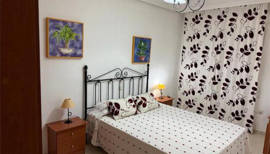 Apartament de lloguer a Avenida Elvas, Badajoz - imatge 1 Foto 1 de Apartament de lloguer a Avenida Elvas, Badajoz