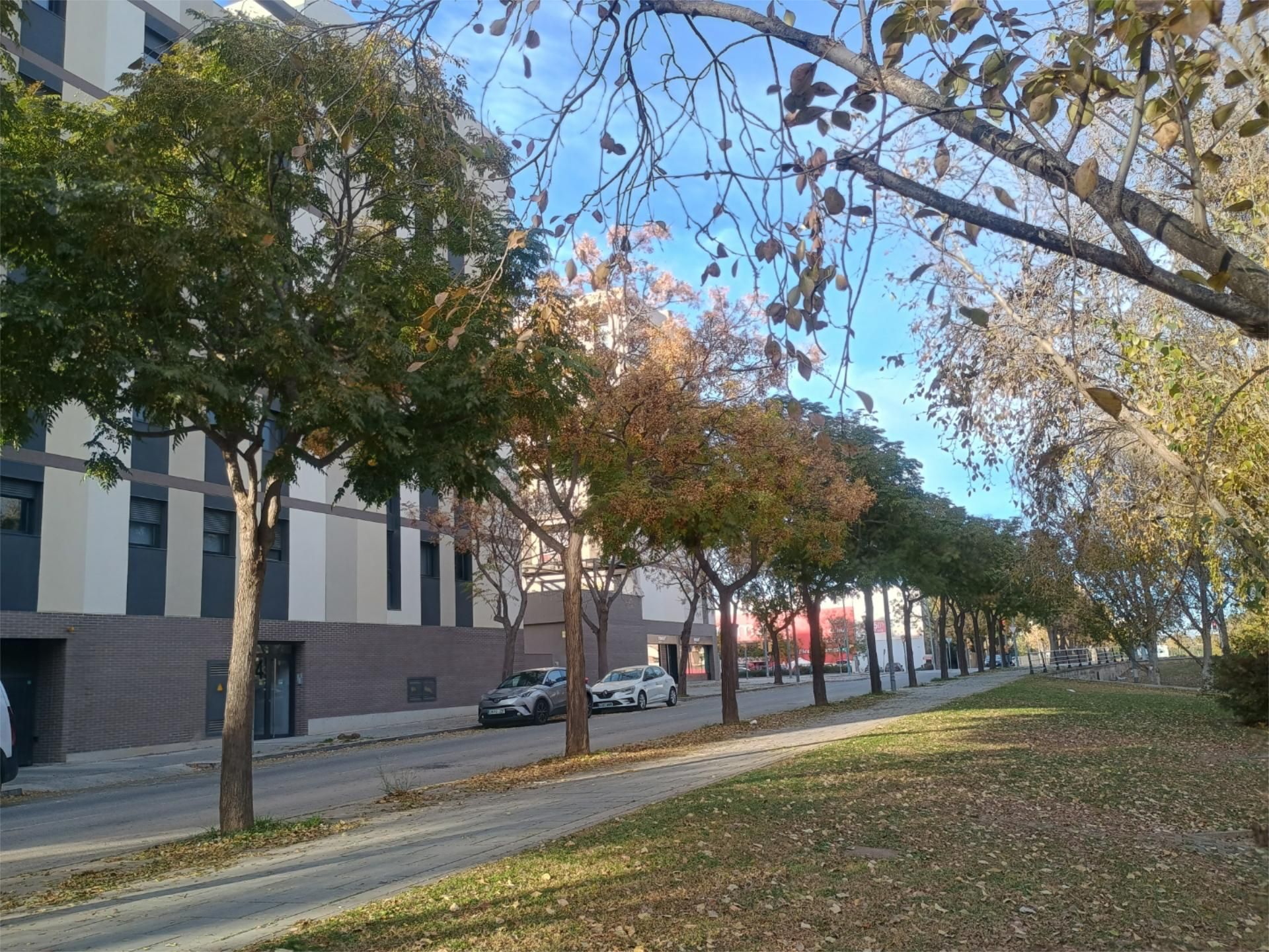Pis de lloguer a Carrer Albares, 24, Cappont Vista exterior de Pis de lloguer en Lleida Capital amb Aire condicionat, Calefacció i Parquet