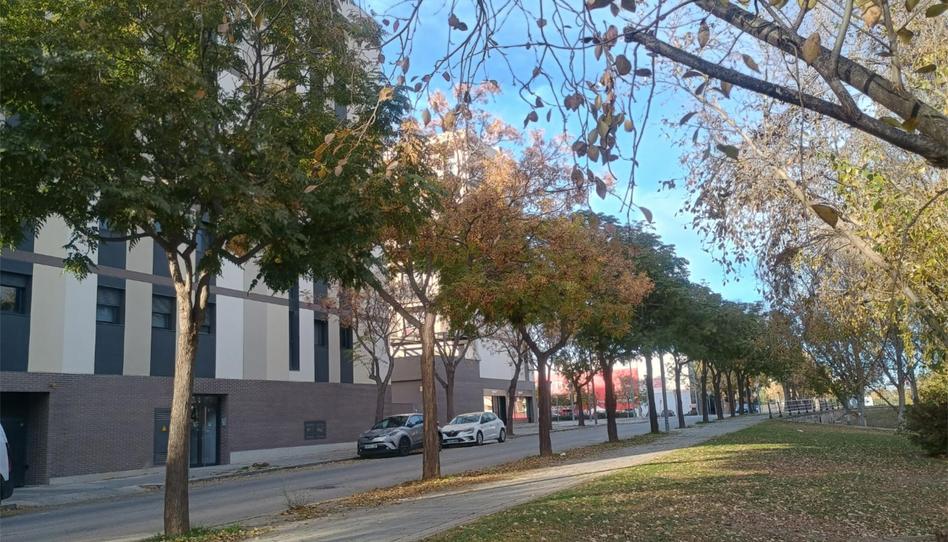 Pis de lloguer a Carrer Albares, 24, Cappont, Lleida - imatge 1 Foto 1 de Pis de lloguer a Carrer Albares, 24, Cappont, Lleida