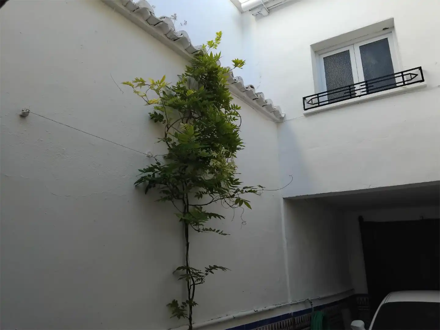 Pis en venda a Calle Cantarranas, 54, Valdepeñas Jardí de Pis en venda en Valdepeñas amb Aire condicionat, Jardí privat i Terrassa