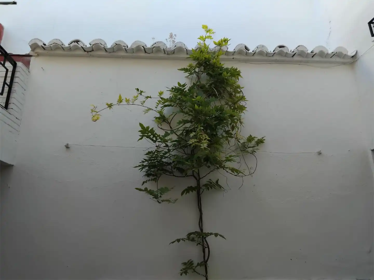 Pis en venda a Calle Cantarranas, 54, Valdepeñas Jardí de Pis en venda en Valdepeñas amb Aire condicionat, Jardí privat i Terrassa