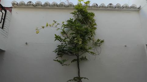 Flat for sale in Calle Cantarranas, 54, Valdepeñas, Ciudad Real - image 4 Photo 4 of Flat for sale in Calle Cantarranas, 54, Valdepeñas, Ciudad Real