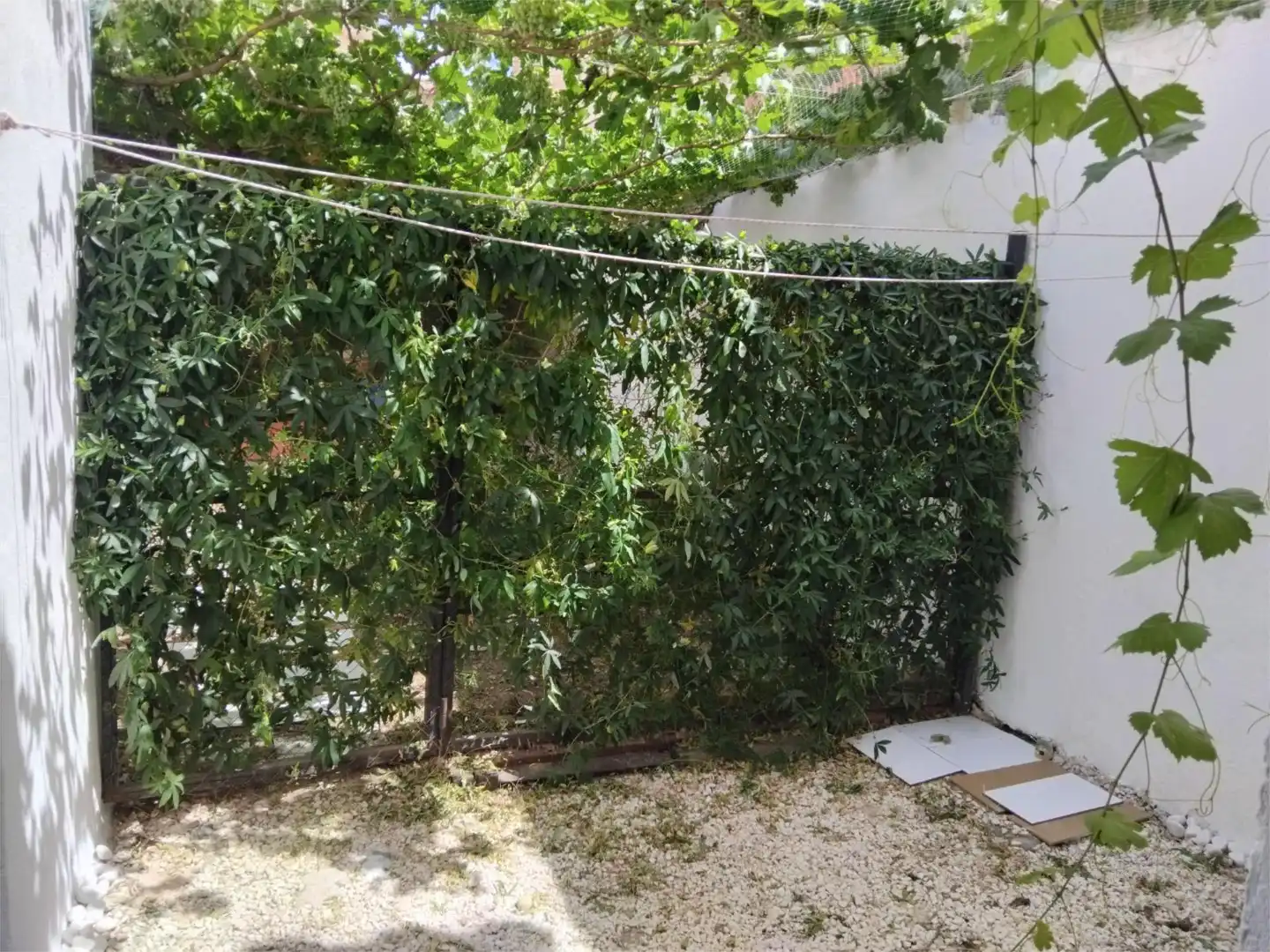 Pis en venda a Calle Cantarranas, 54, Valdepeñas Jardí de Pis en venda en Valdepeñas amb Aire condicionat, Jardí privat i Terrassa