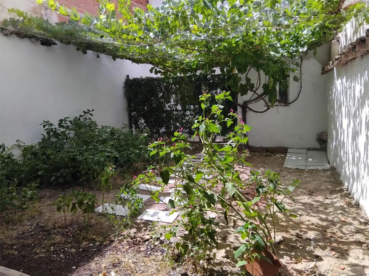 Pis en venda a Calle Cantarranas, 54, Valdepeñas Jardí de Pis en venda en Valdepeñas amb Aire condicionat, Jardí privat i Terrassa