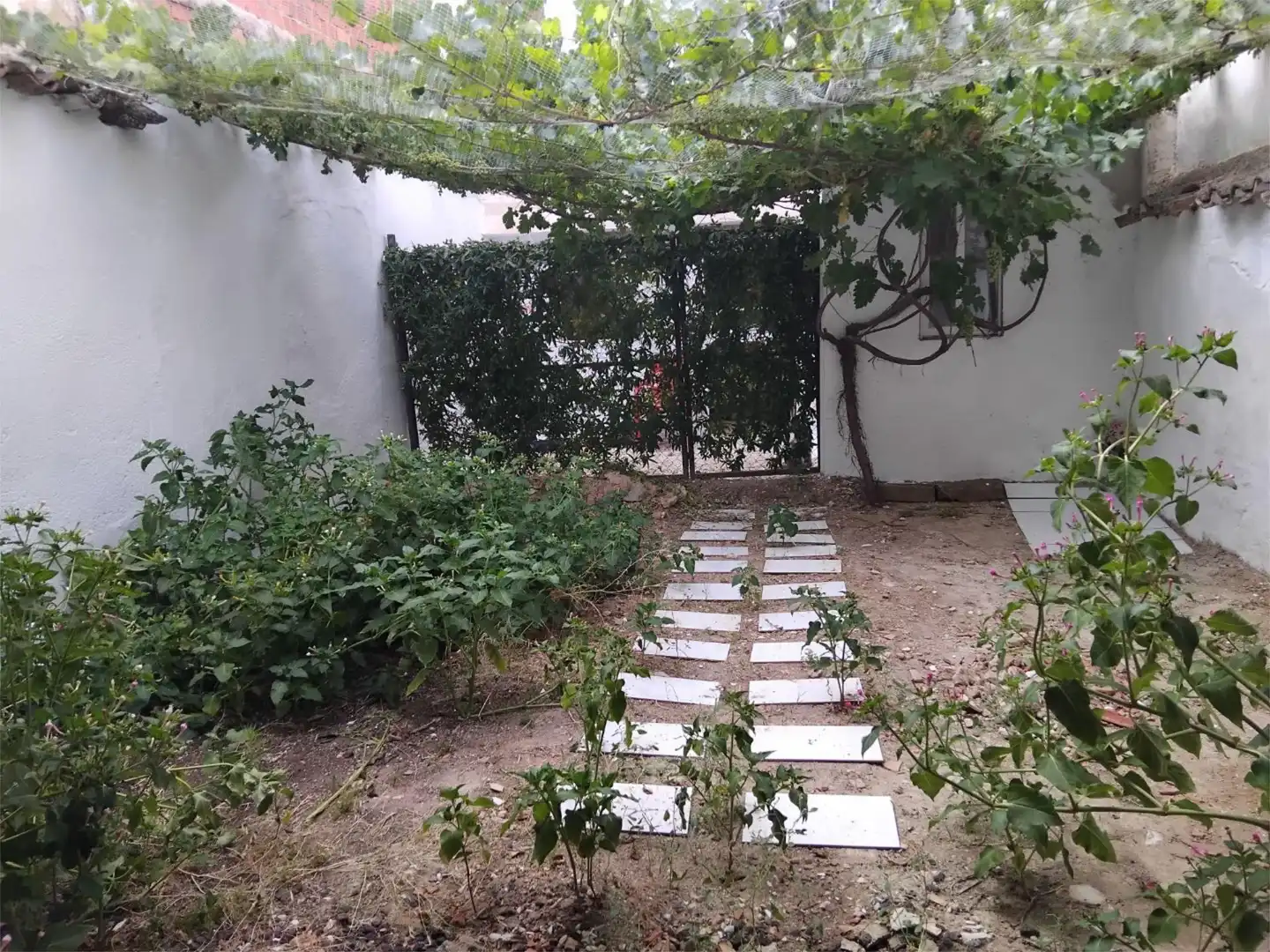 Pis en venda a Calle Cantarranas, 54, Valdepeñas Jardí de Pis en venda en Valdepeñas amb Aire condicionat, Jardí privat i Terrassa
