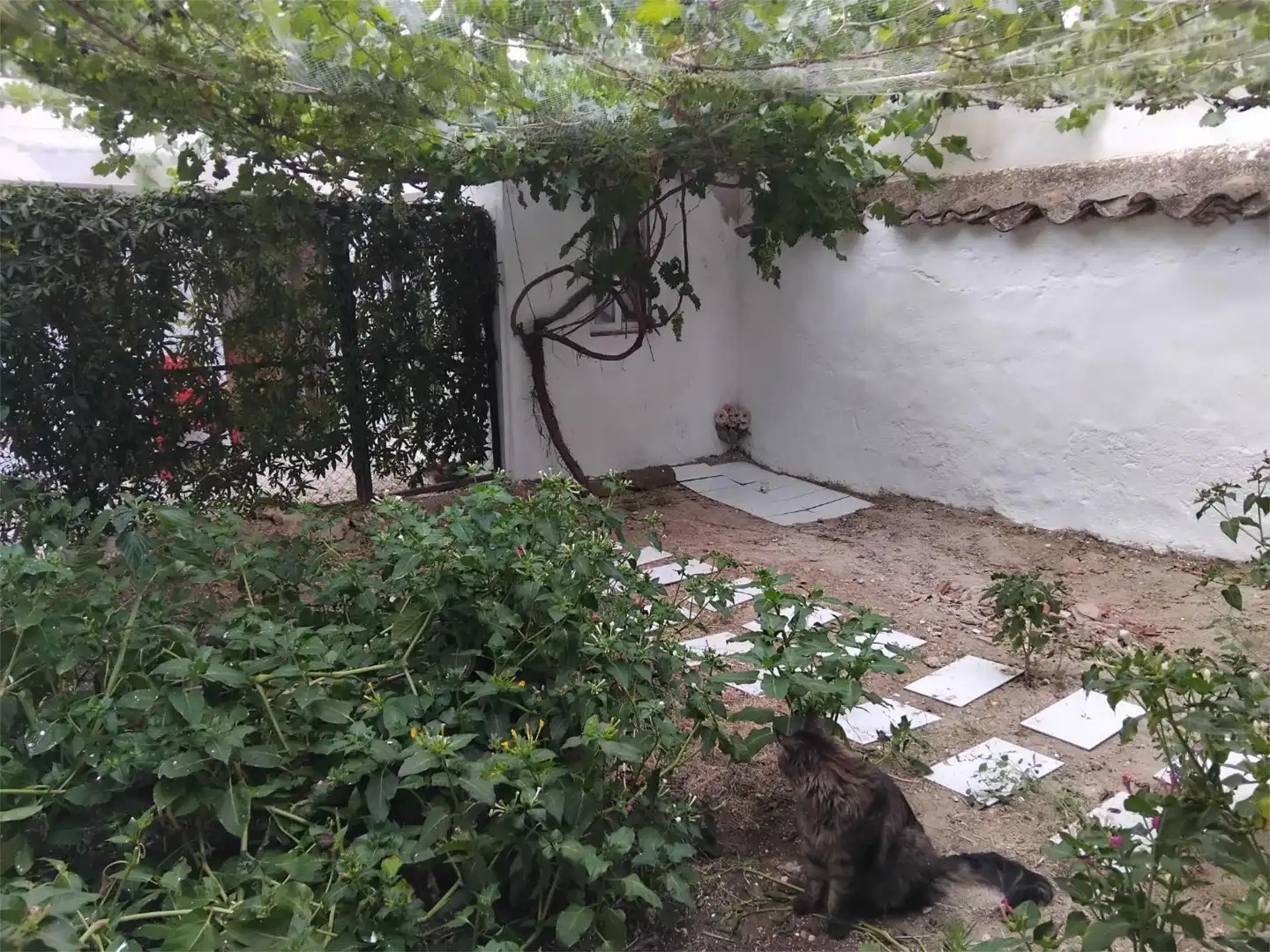 Pis en venda a Calle Cantarranas, 54, Valdepeñas Jardí de Pis en venda en Valdepeñas amb Aire condicionat, Jardí privat i Terrassa