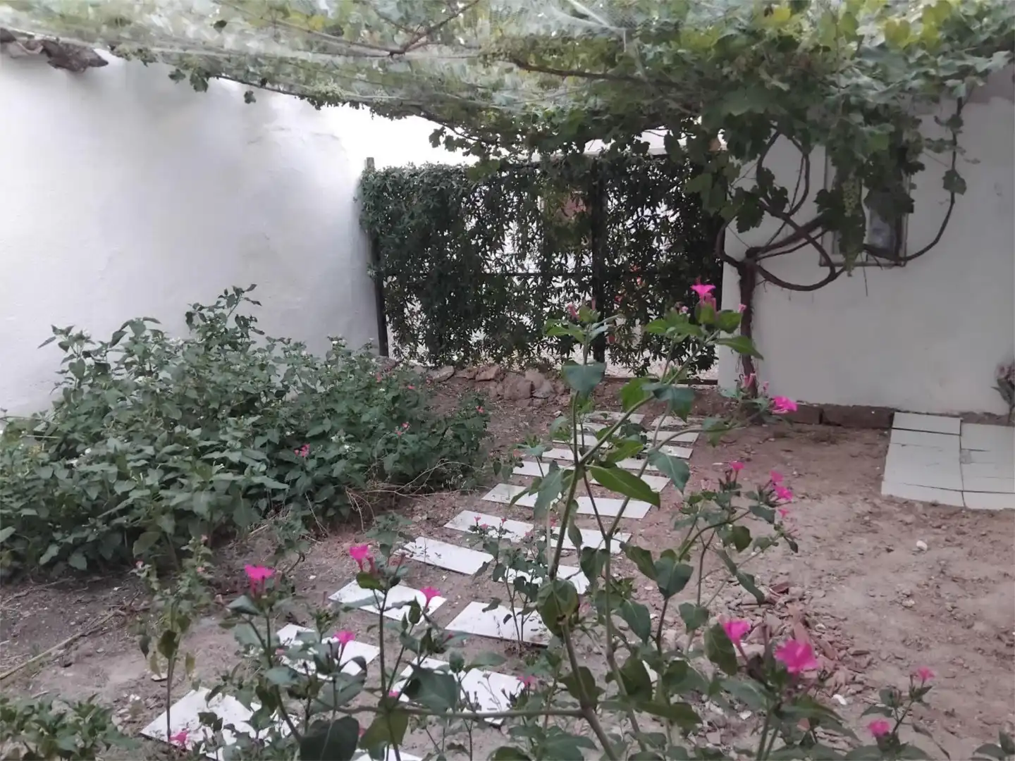 Pis en venda a Calle Cantarranas, 54, Valdepeñas Jardí de Pis en venda en Valdepeñas amb Aire condicionat, Jardí privat i Terrassa