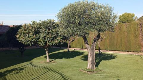 Casa o xalet en venda a Carretera de la Estación, 20a, Marmolejo, Jaén - imatge 3 Foto 3 de Casa o xalet en venda a Carretera de la Estación, 20a, Marmolejo, Jaén