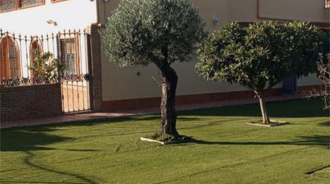 Casa o xalet en venda a Carretera de la Estación, 20a, Marmolejo, Jaén - imatge 4 Foto 4 de Casa o xalet en venda a Carretera de la Estación, 20a, Marmolejo, Jaén