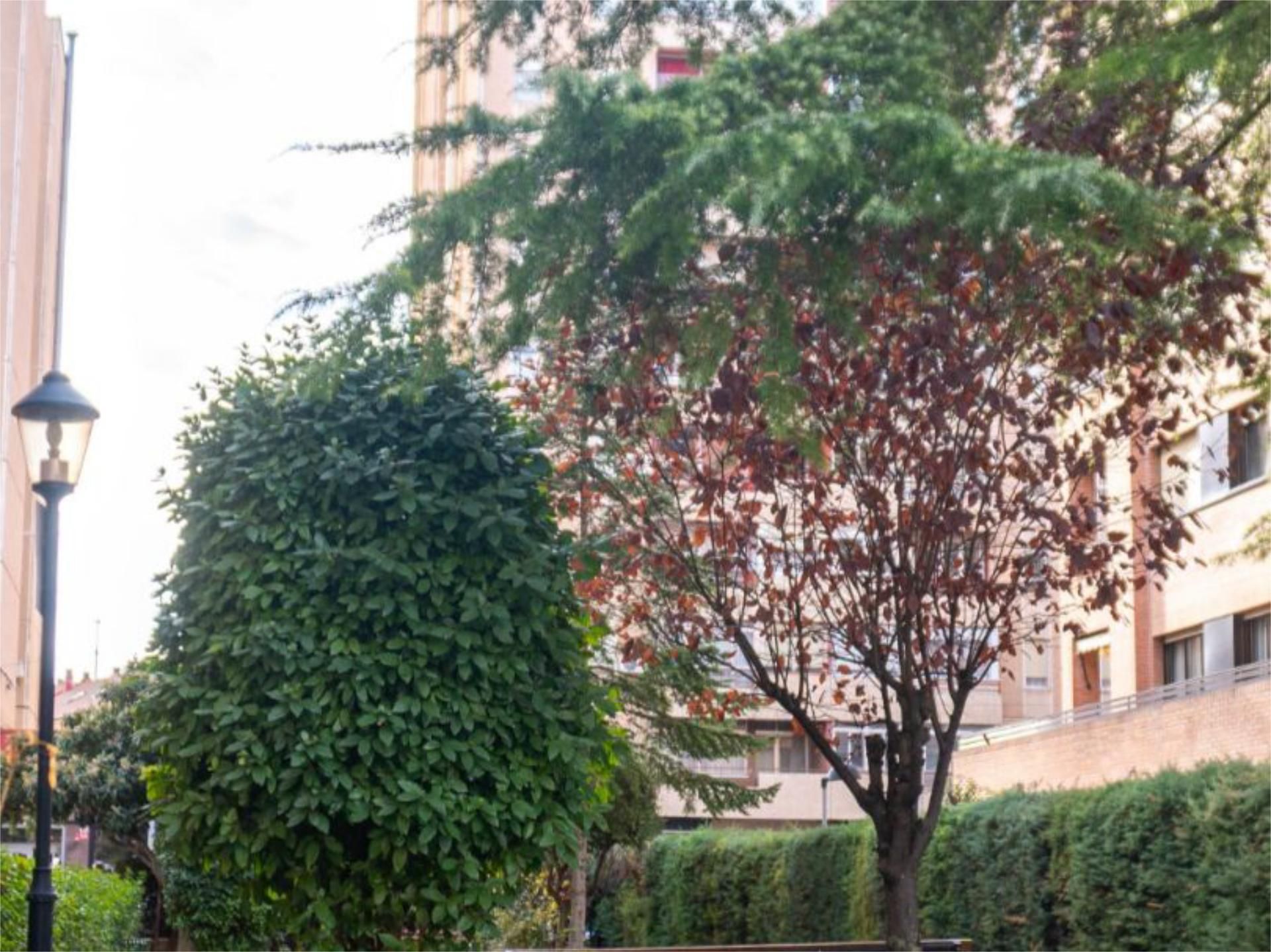 Pis en venda a Avenida de Castilla, 2, Plan Sur - Amistad Vista exterior de Pis en venda en Guadalajara Capital amb Aire condicionat i Balcó