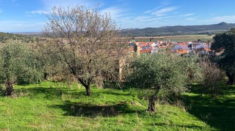 House or chalet for sale in Carretera San Jorge, 5, Olivenza, Badajoz - image 4 Photo 4 of House or chalet for sale in Carretera San Jorge, 5, Olivenza, Badajoz