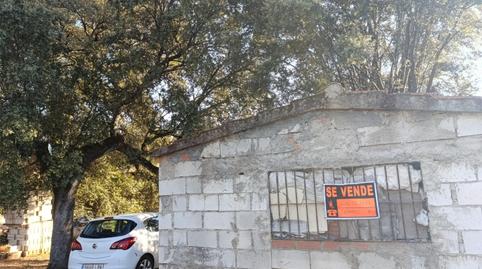 Finca rústica en venta en Diseminado, 180, Nuñomoral, Cáceres - imagen 2 Foto 2 de Finca rústica en venta en Diseminado, 180, Nuñomoral, Cáceres