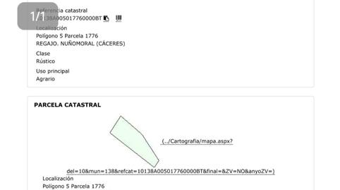 Finca rústica en venta en Diseminado, 180, Nuñomoral, Cáceres - imagen 3 Foto 3 de Finca rústica en venta en Diseminado, 180, Nuñomoral, Cáceres