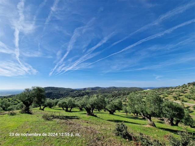 Terreno en Venta en Calle Barrero, 24C en La Puebla de los Infantes