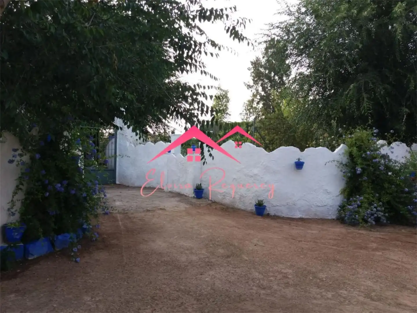 Jardí de Casa o xalet en venda en Lucena amb Terrassa