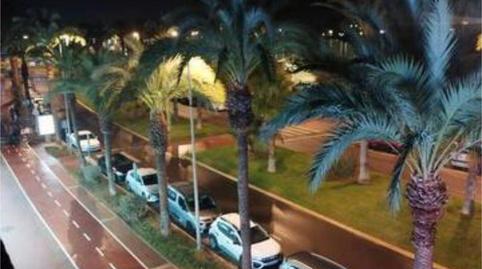 Flat to rent in Almerimar, Almería - image 4 Photo 4 of Flat to rent in Almerimar, Almería