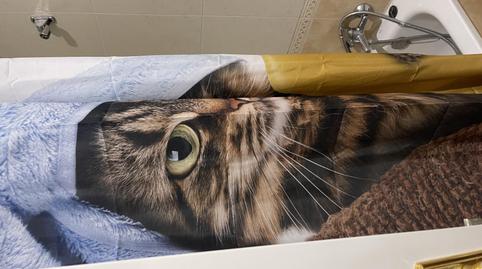 Flat for sale in Carrer de la Boira, 9, Bonalba - Cotoveta, Alicante - image 5 Photo 5 of Flat for sale in Carrer de la Boira, 9, Bonalba - Cotoveta, Alicante