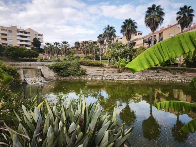 Estudio en Alquiler en Camino Cuesta del Palmar, 8 en Alquería - Torrealquería