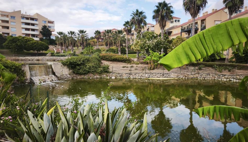 Estudi de lloguer a Camino Cuesta del Palmar, 8, Alquería - Torrealquería, Málaga - imatge 1 Foto 1 de Estudi de lloguer a Camino Cuesta del Palmar, 8, Alquería - Torrealquería, Málaga