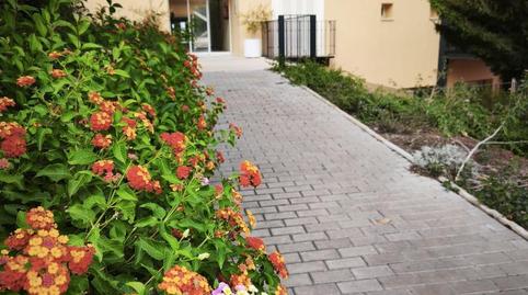 Estudi de lloguer a Camino Cuesta del Palmar, 8, Alquería - Torrealquería, Málaga - imatge 4 Foto 4 de Estudi de lloguer a Camino Cuesta del Palmar, 8, Alquería - Torrealquería, Málaga