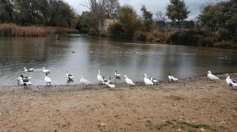Foto 5 de Finca rústica en venda a Calle Sisante, 10, El Picazo  , Cuenca