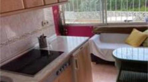 Estudio de alquiler en Montealto - Monterrey, Málaga - imagen 2 Foto 2 de Estudio de alquiler en Montealto - Monterrey, Málaga