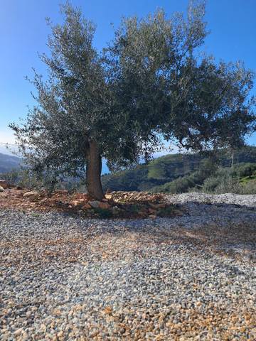 Finca rústica en Alquiler en El Rescate - Río Seco